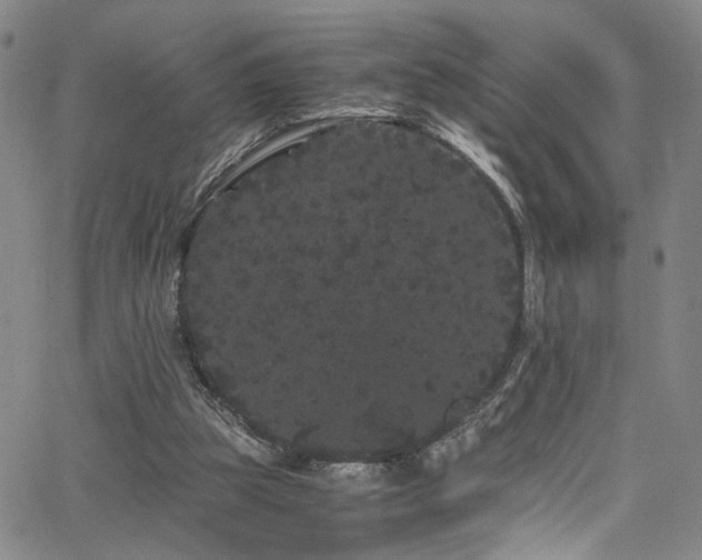 X0000062630153200512211238