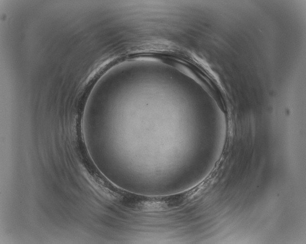 X0000062630154200512211238