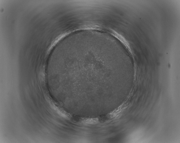 X0000062630155200512211238