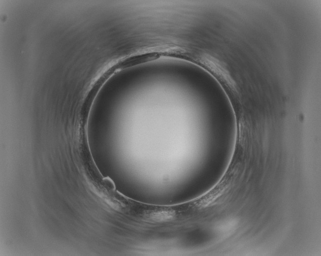 X0000062630156200512211238