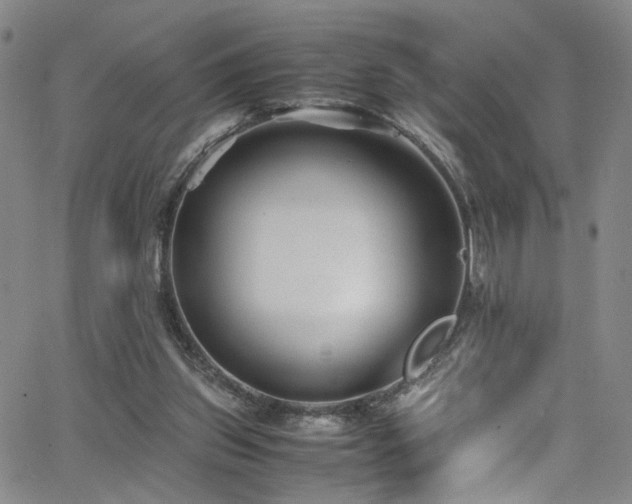 X0000062630157200512211238