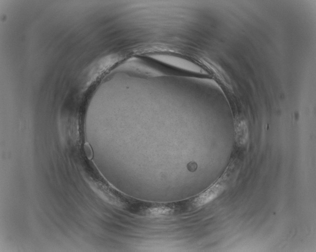 X0000062630158200512211238