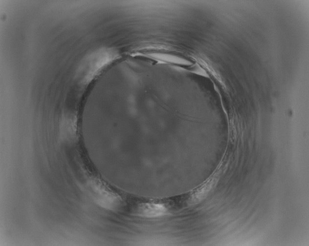 X0000062630159200512211238