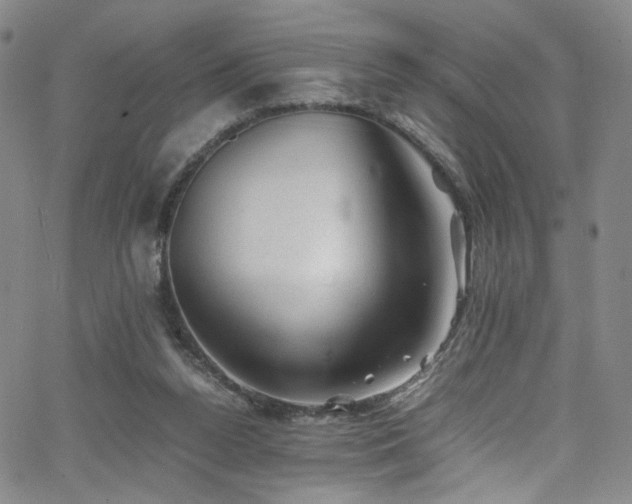 X0000062630160200512211238