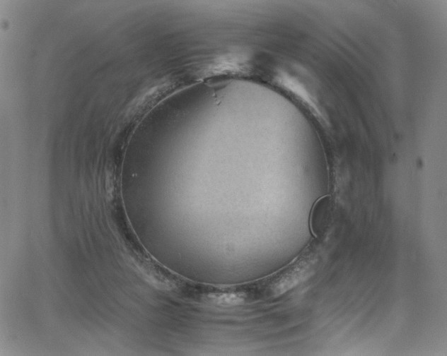 X0000062630161200512211238