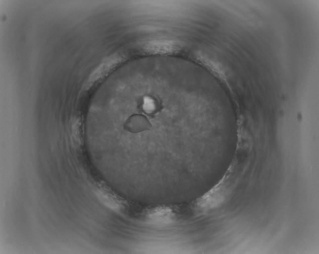 X0000062630162200512211238