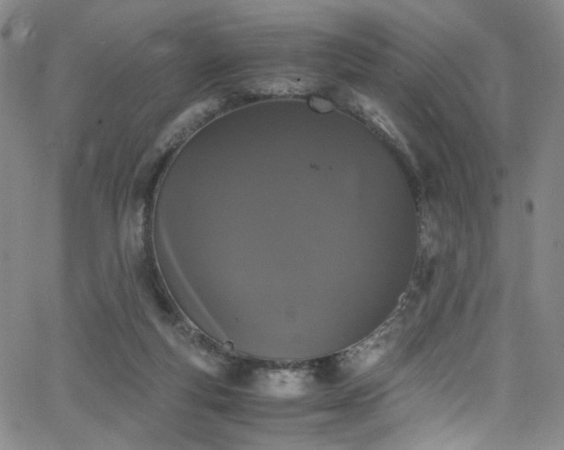 X0000062630163200512211238