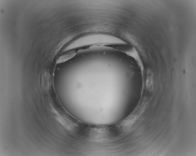 X0000062630164200512211238