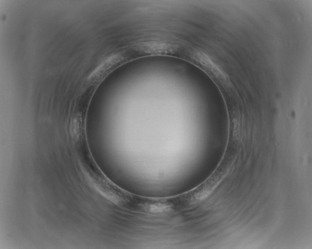 X0000062630165200512211238