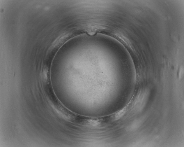 X0000062630166200512211238