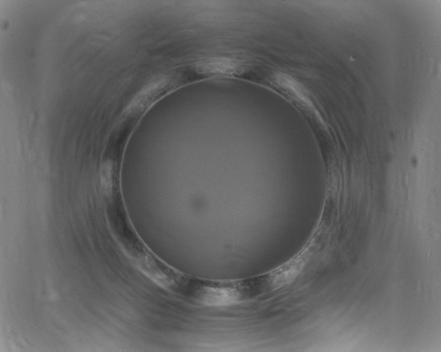 X0000062630167200512211238