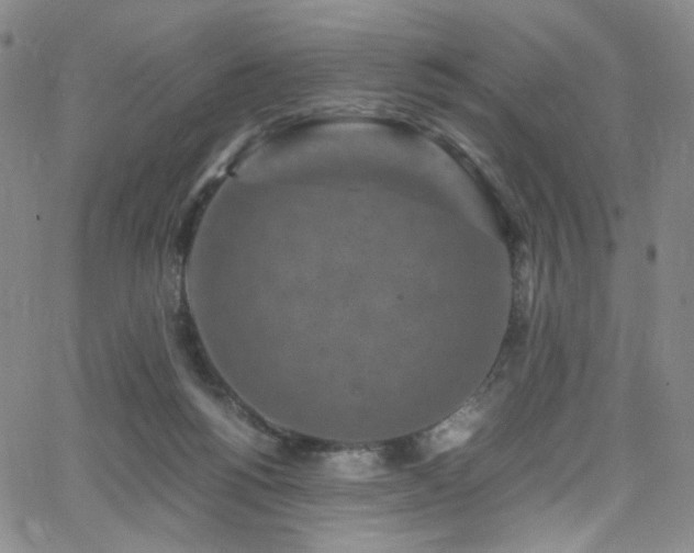 X0000062630168200512211238