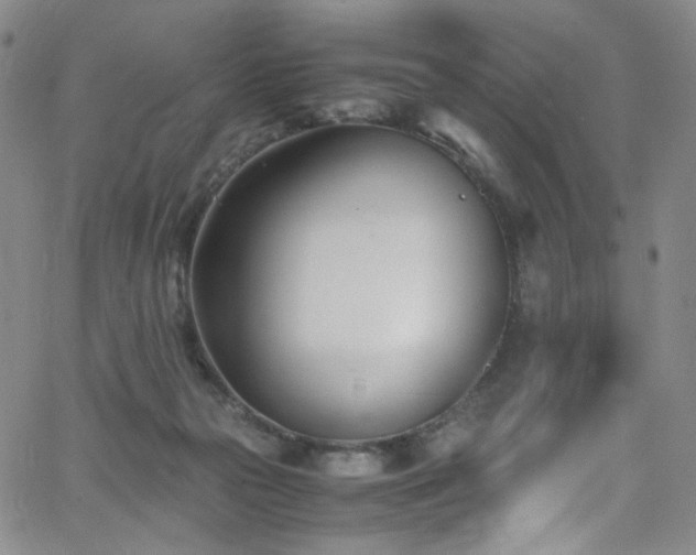 X0000062630169200512211238