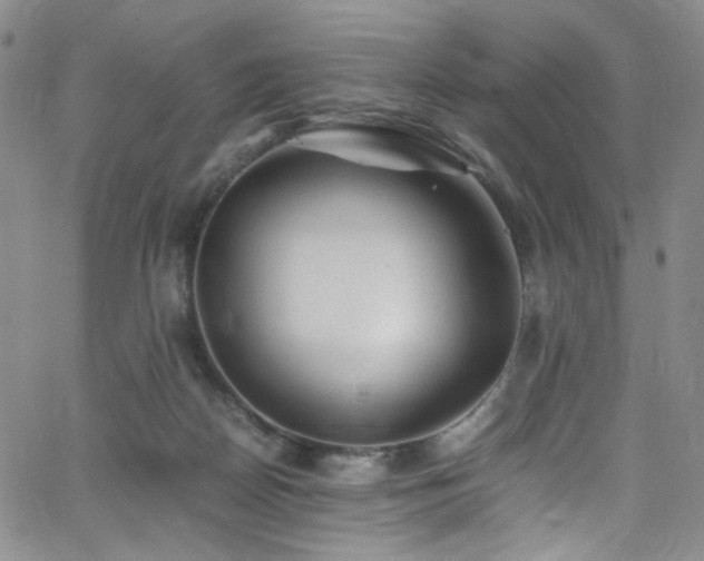 X0000062630170200512211238