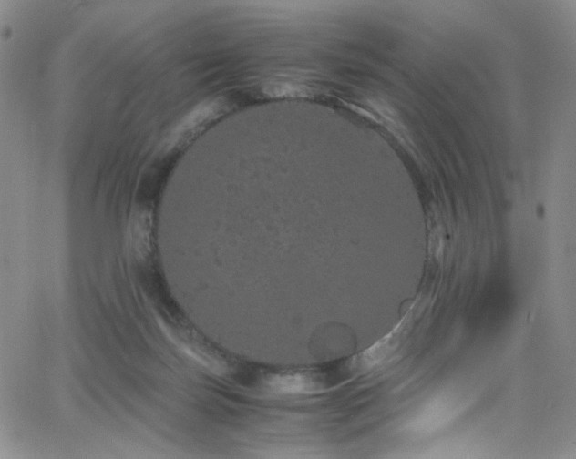 X0000062630171200512211238