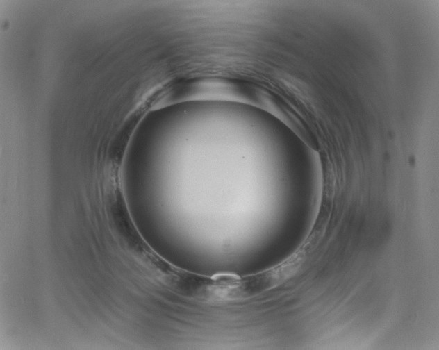 X0000062630172200512211238