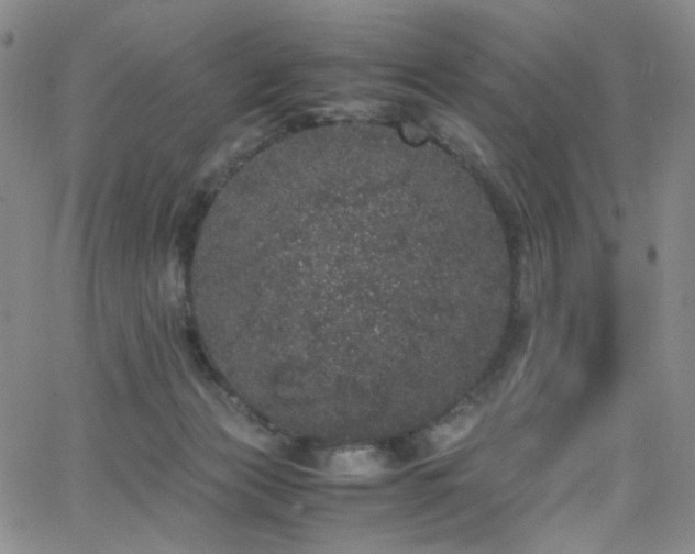 X0000062630173200512211238