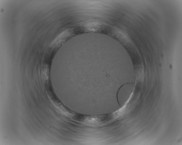 X0000062630174200512211238