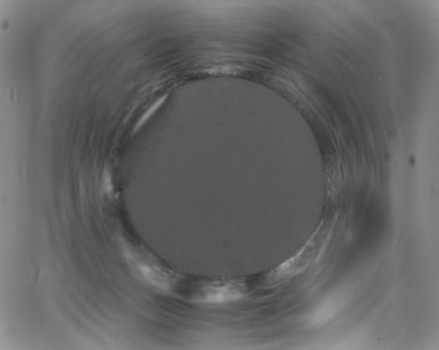 X0000062630175200512211238