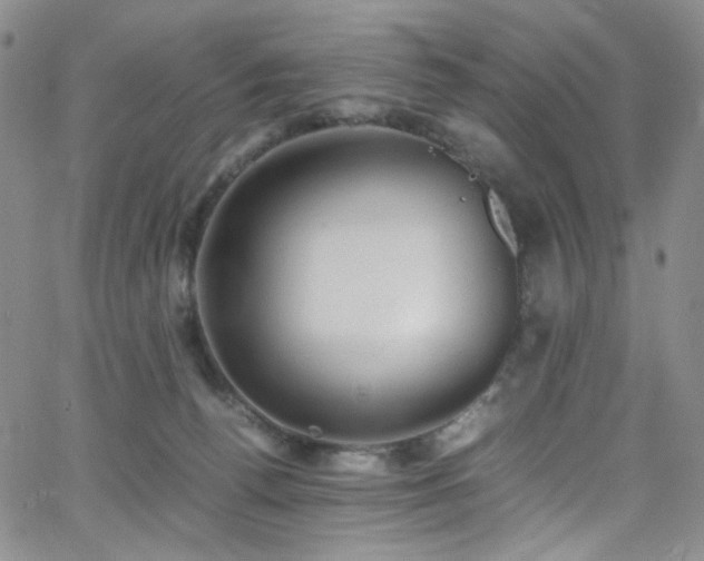 X0000062630176200512211238