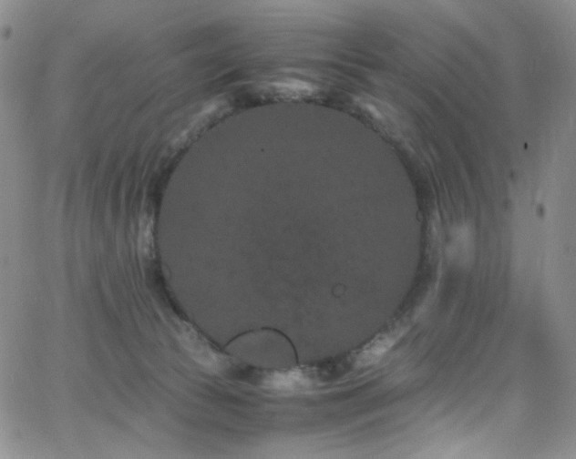 X0000062630177200512211238