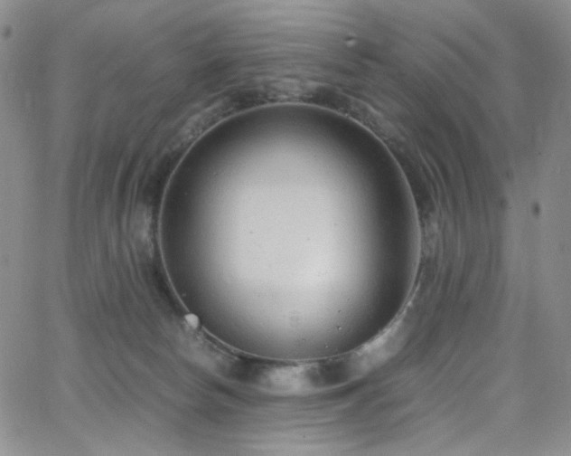 X0000062630178200512211238