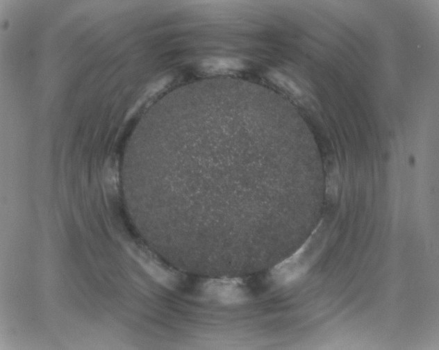 X0000062630179200512211238