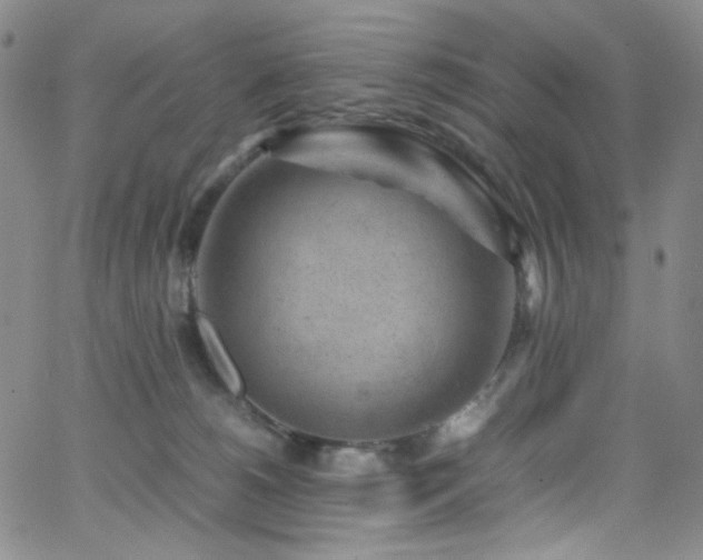 X0000062630180200512211238