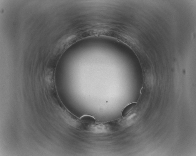 X0000062630181200512211238