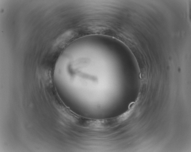 X0000062630182200512211238