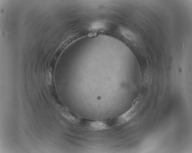 X0000062630183200512211238