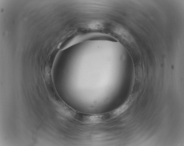 X0000062630184200512211238