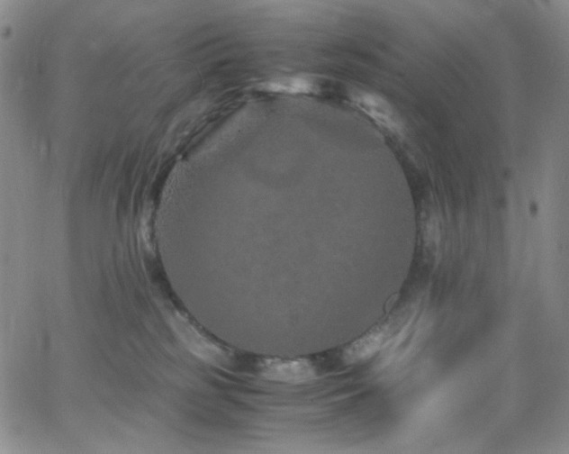 X0000062630185200512211238