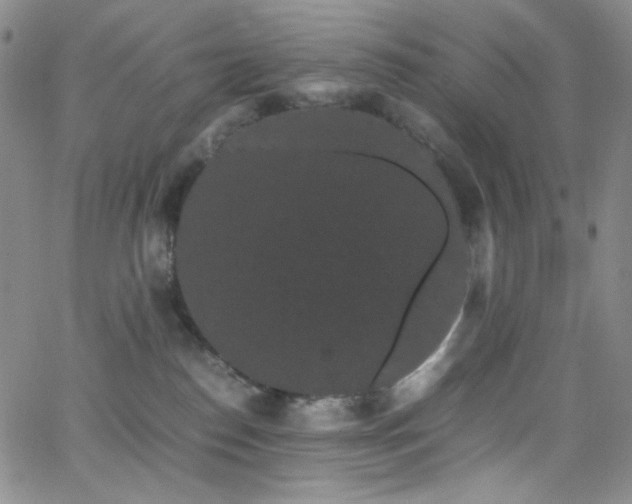 X0000062630186200512211238