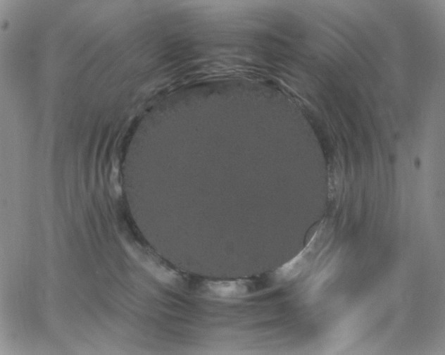 X0000062630187200512211238