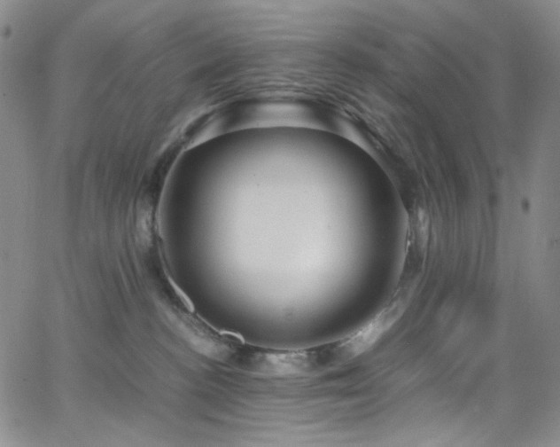 X0000062630188200512211238