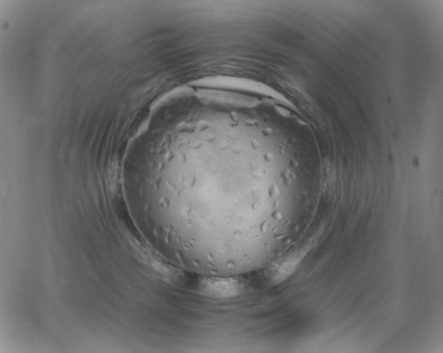 X0000062630189200512211238