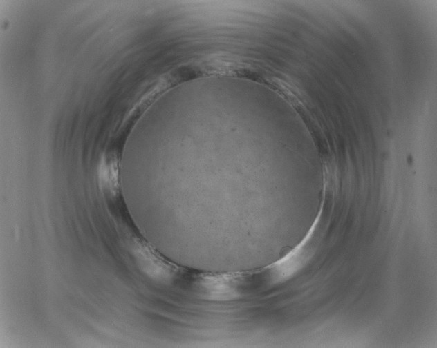 X0000062630190200512211239