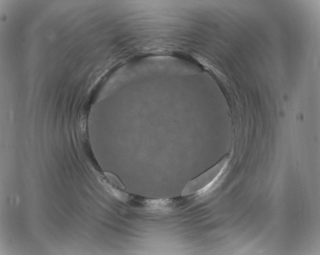 X0000062630192200512211239