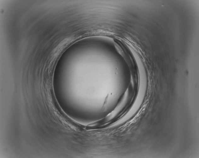 X0000062630193200512211238