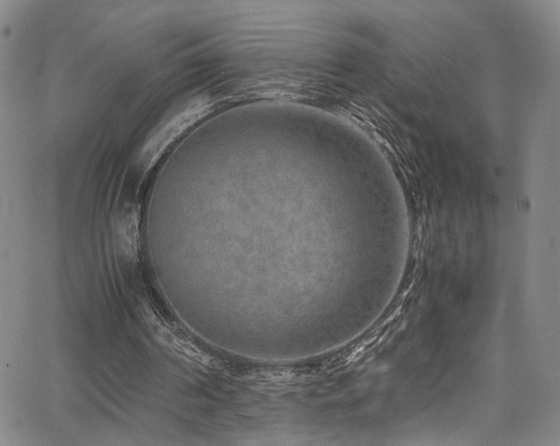 X0000062630194200512211238