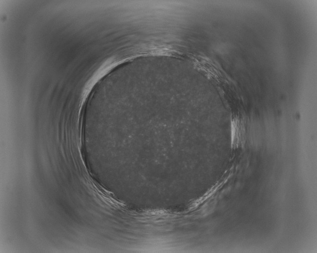 X0000062630195200512211238