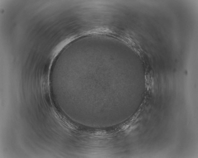 X0000062630196200512211238