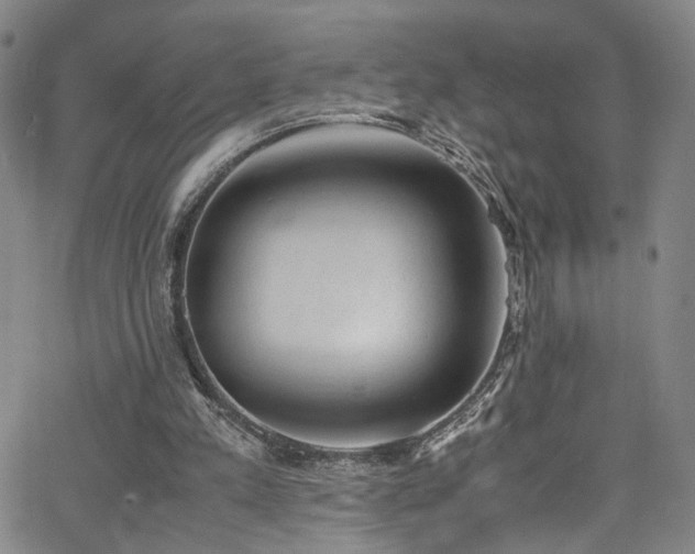 X0000062630197200512211238