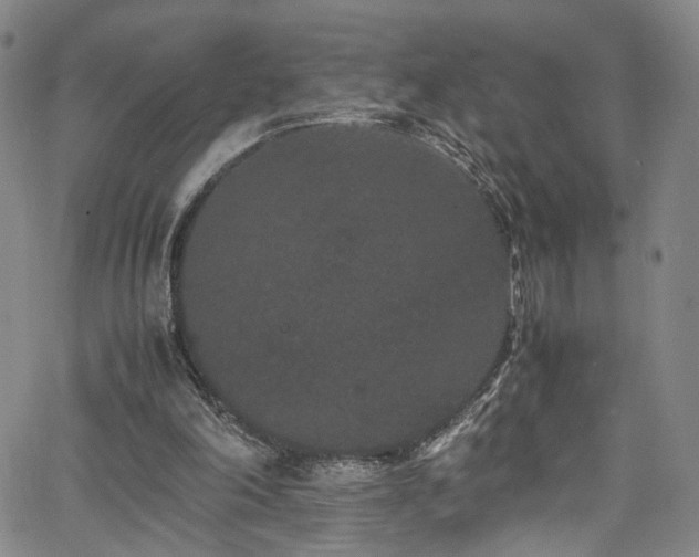 X0000062630198200512211238