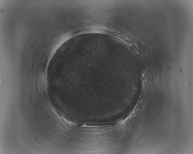 X0000062630200200512211238