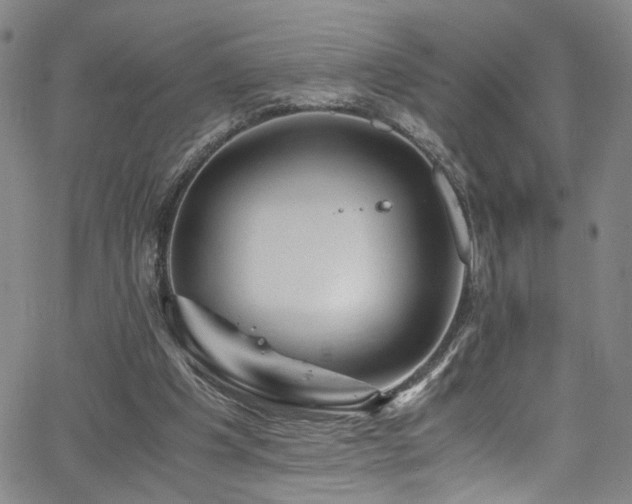 X0000062630201200512211238