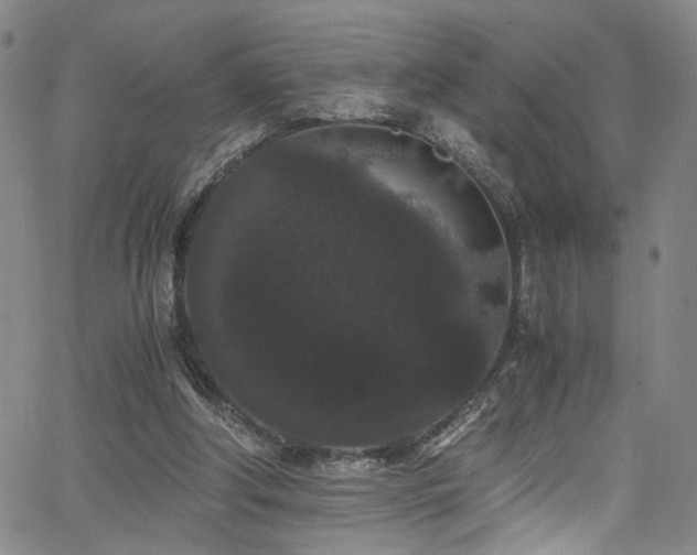 X0000062630202200512211238