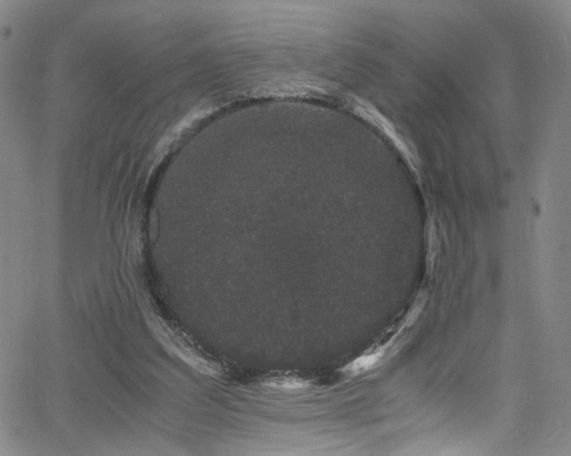 X0000062630203200512211238