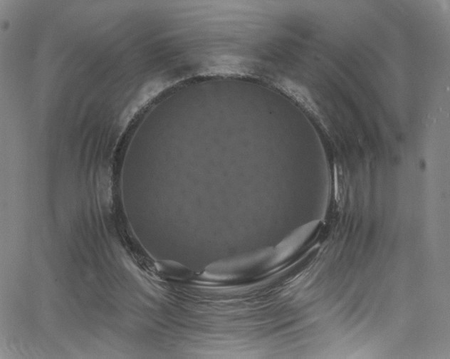 X0000062630204200512211238